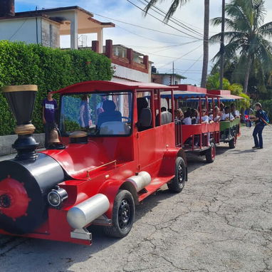 Vendo un tren listo para trabajar de petróleo me ajusto con dinero en mano - 5/6