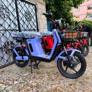 Bicimoto Vedca S1 - Img 56221279