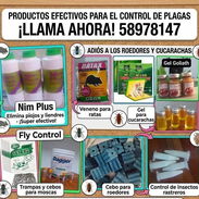 Productos para el control de plagas - Img 57560726