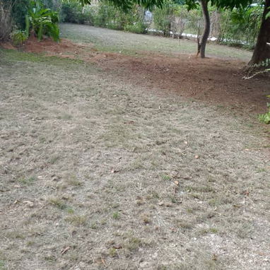 Vendo casa grande con terreno a todo alrededor de la casa - 4/5