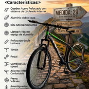 Bicicletas Rali medida 29 - Img 55869932