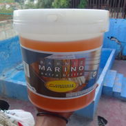 Barniz Marino Original - Img 54682887