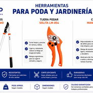 Tijeras para podar jardinería - Img 56724634