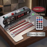 Módulos de audio sin y con amplificador - Img 56020990