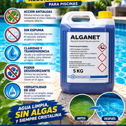 Producto de piscina: Alguicida, galón 5kg - Img 54997063