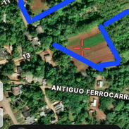 En venta finca en jovellanos con casa de mampostería - Img 56379904