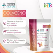 Colágeno para perros y gatos - Img 56131657