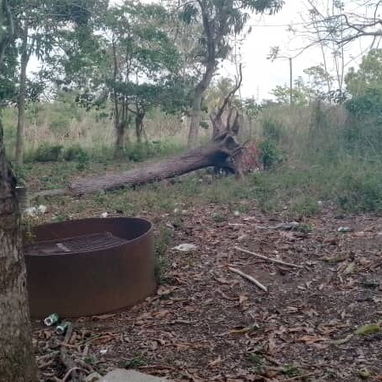 Solo Habana en marianao por la universidad de la cujae Se vende una propiedad con papeles en orden para hacer trámite - Img 123398731