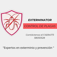 FUMIGACIÓN Y CONTROL DE PLAGAS - Img 57303747
