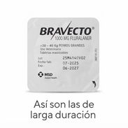Bravecto de larga duración - Img 56501578