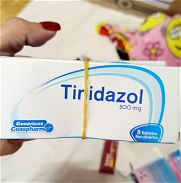 Tinidazol 500mg y Mebendazol 100mg Secnidazol 500 mg todo importado 52598572 - Img 43107678