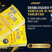 Wellsim Pro v4.1 - Img 55314283