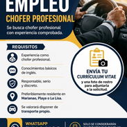 Chofer Profesional - Img 56779644