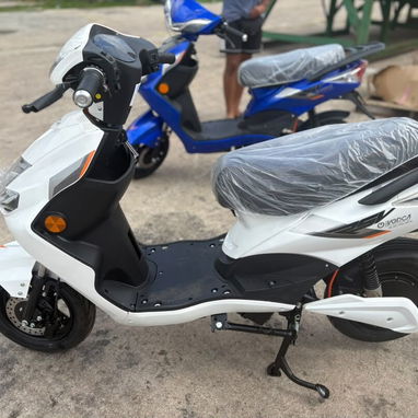 MOTO ELÉCTRICA N1 - 5/6