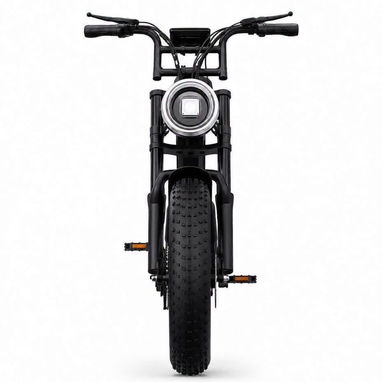 *BICICLETA ELÉCTRICA DTTZH F6* - 3/10