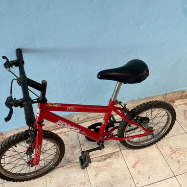 Carriola eléctrica y bicicleta 16 - Img 123066732