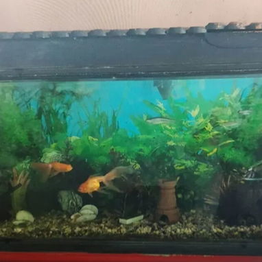 Vendo pescera de 1.20 metros - Img 120667457
