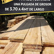 Madera de diferente medida  tablas y tablones y palos - Img 55821462