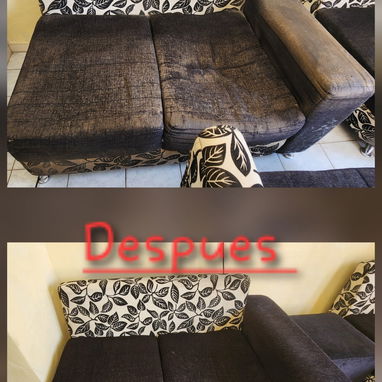 🚨 ¡ADIÓS A LAS PLAGAS! SERVICIO PROFESIONAL GARANTIZADO POR MIPYME 🚨 ​ - 2/6