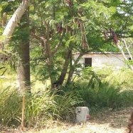 Vendo terreno de 1000m2 en la villa panamericana cerca de la monumental no tiene papeles aunque es posible legalizar. - 2/2