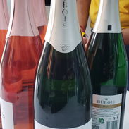 🌟Vinos Espumoso🌟 👑DUBOIS👑 🥂BRUT🥂 - Img 50389700