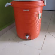 Thermo nevera - Img 58137993