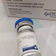 Hidrocortisona 100 mg bulbo - Img 55156996