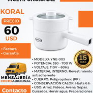 OLLA ELÉCTRICA KORAL DE 1.8 L. - Img 58071900
