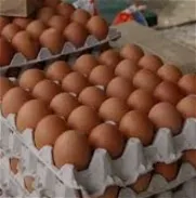 Huevos - Img 45582978