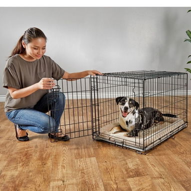Pitbull.Rotweiler.Doberman.Pastor.Teckel.Salchicha.Chiguagua.Bulldog.Labrador.Dálmata.Cocker.Shihtzu.Spaniel.Boxer - 10/10
