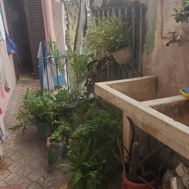 Venta de casa en Centro Habana . Calle Tenerife,  a una cuadra de la calzada de monte. #203 - Img 126553795