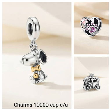 Charms en  Plata Ley 925 ✨ - 4/4