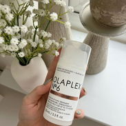 0laplex 6 - Img 57711877