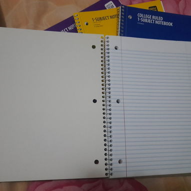 Libretas rayadas traídas de USA - 3/5