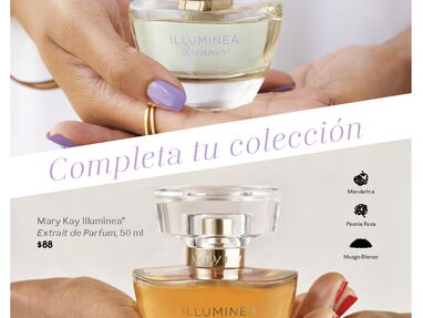 Perfumes / Fragancias para mujer / ella - Img main-image-43593642