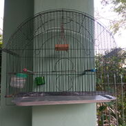 Jaula para pájarosa - Img 45283030