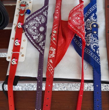 COLLARES  PARA MASCOTAS PERRITOS Y GATICOS. 53 50352184.vedado - Img 39041274