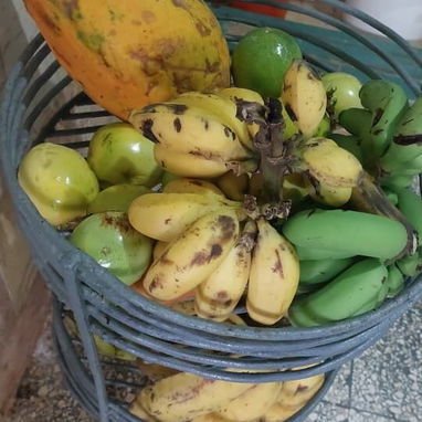 Oportunidad en Matanzas! Finca con todo tipo de frutas en venta con casa y espacio para pequeño, mediano y gran negocio! - Img 118890818