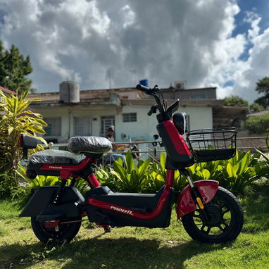 Patineta electrica PROEFIX - 3/10