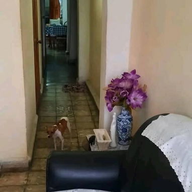 Se vende o se permuta casa ubicada en Heredia #507 bajos entre San Agustín y Barnada la cual consta de 3 cuartos, sala, - 4/10