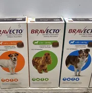 Bravecto - Img 50632906