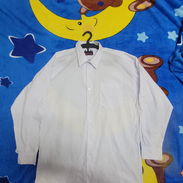 Camisa mangas largas - Img 55642178