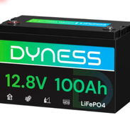 Batería LiFePO4 Dyness AR1.2 de 12 V y 100 Ah con protección contra baja temperatura - Img 56810752