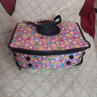 Bolso de transporte para perros pequeños y gatos - Img 122768053