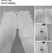 Pantalón marca Náutica (solo color blanco) - Img 45732118