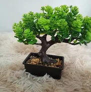 Plantas artificiales Bonsái artificial. Entrega gratis 58441134 - Img 50340006
