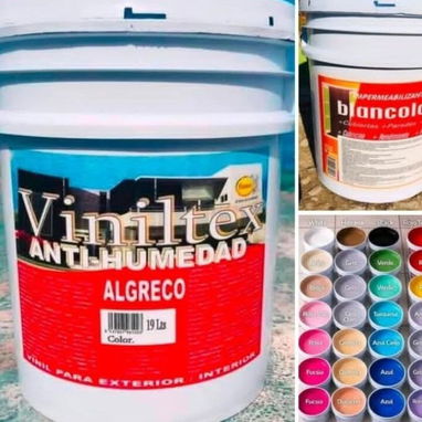 Pinturas de todo tipo - 2/2
