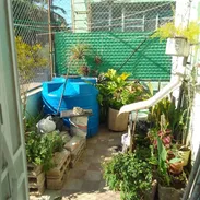 *117🏡Casa en Venta en Miramar de Puerta de Calle [ De Placa Libre ]*  🗺*Pto.De Referencia* *Por 5ta y 42*  😎*Conta de - Img 55786867