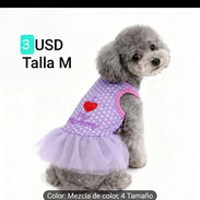 Ropa de perrita - Img 56066662