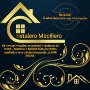 Cristalero macillero - Img 45621260